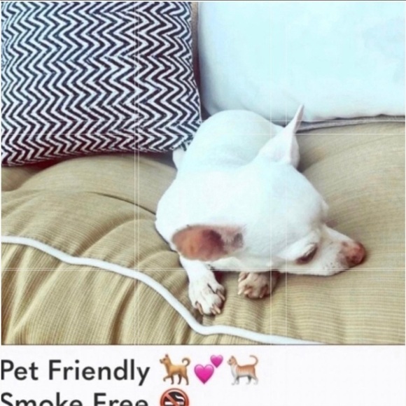 NWOT Robin Piccone reversible black print bikini top - Picture 9 of 9